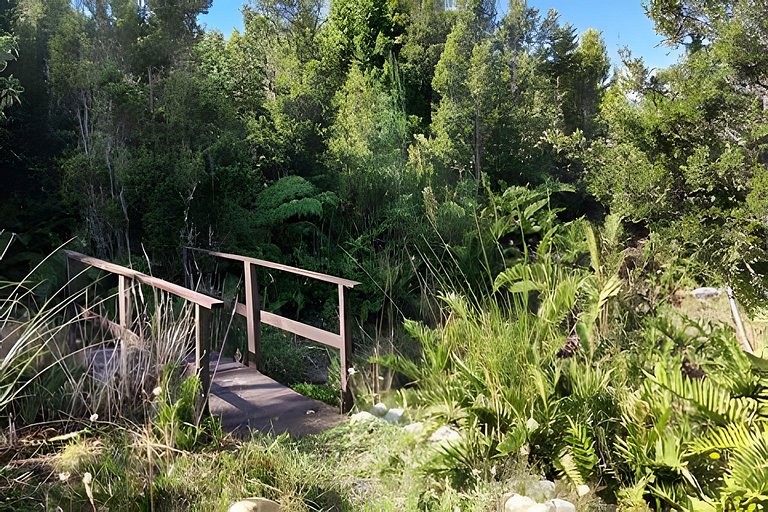 Oceana Suites: Alerce, Los Lagos.