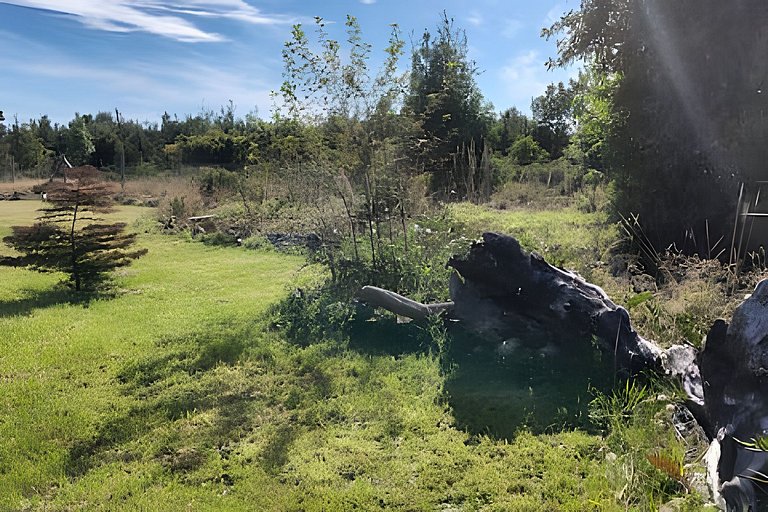 Oceana Suites: Alerce, Los Lagos.