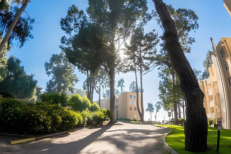 Oceana Suites: Bahía Pelícanos, Horcón.