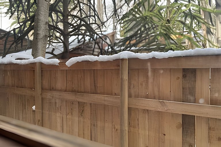 Oceana Suites: Volkano, Corralco.