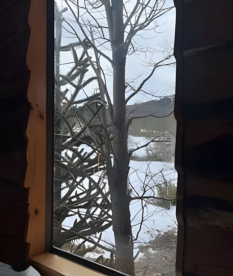 Oceana Suites: Volkano, Corralco.