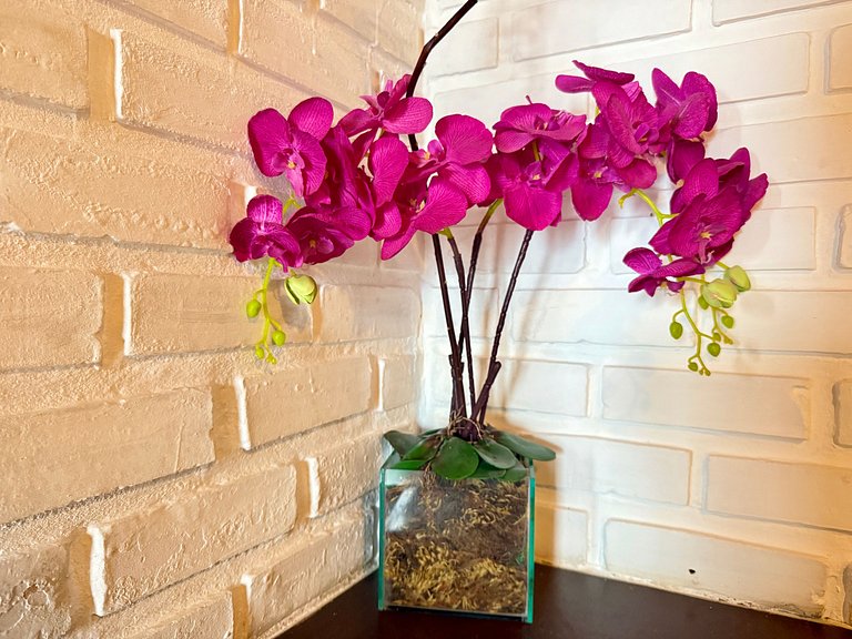 Oceana Suites: Villas de Tibau, Tibau do Sol.