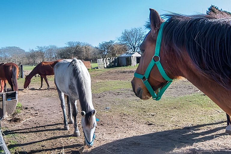 Oceana Suites: Espacio Ganesha, Baradero.