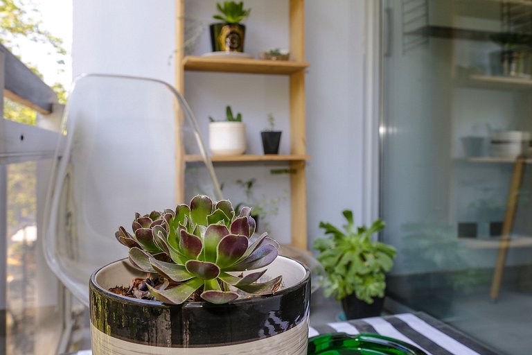 Oceana Suites: Lienzos de Providencia, Providencia.