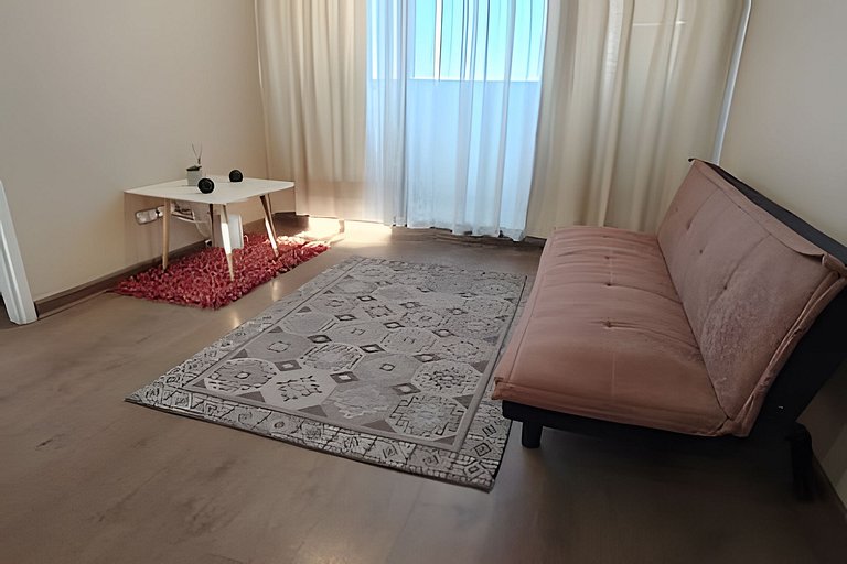 Departamento ejecutivo zona minera Calama Centro