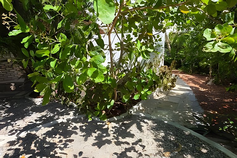 Oceana Suites: Tibau do Sul, Pipa.