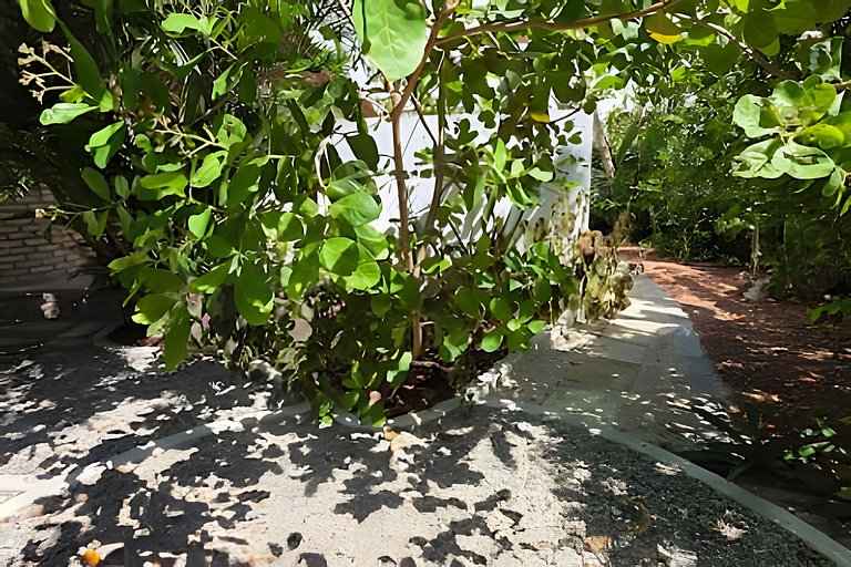 Oceana Suites: Tibau do Sul, Pipa.