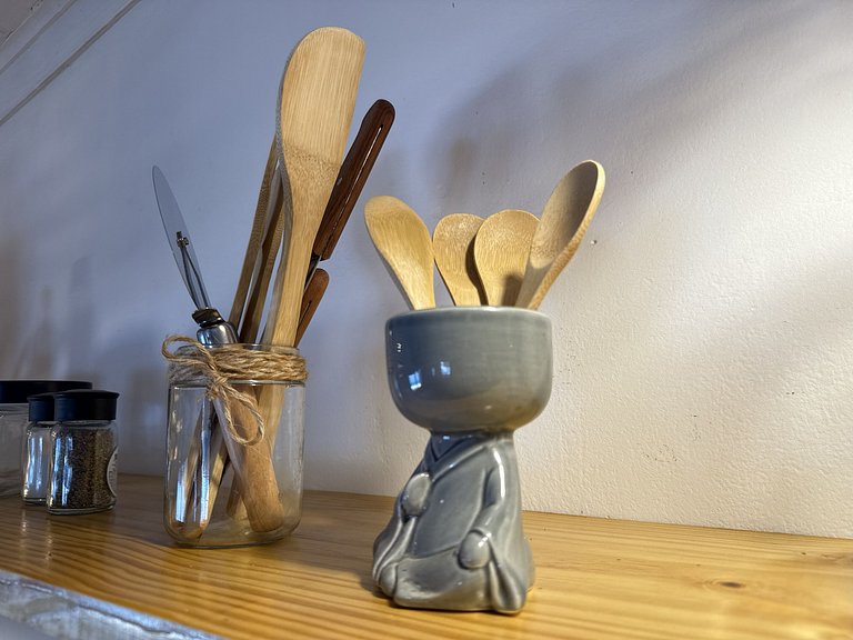 House with a pool in a natural setting, Pipa.