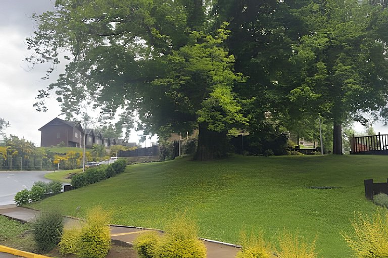 Oceana Suites: Bosques de Pucón, Pucón.