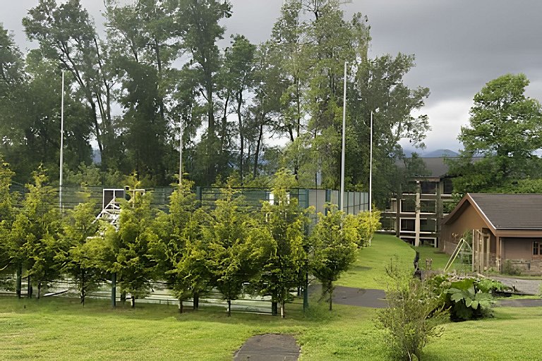 Oceana Suites: Bosques de Pucón, Pucón.