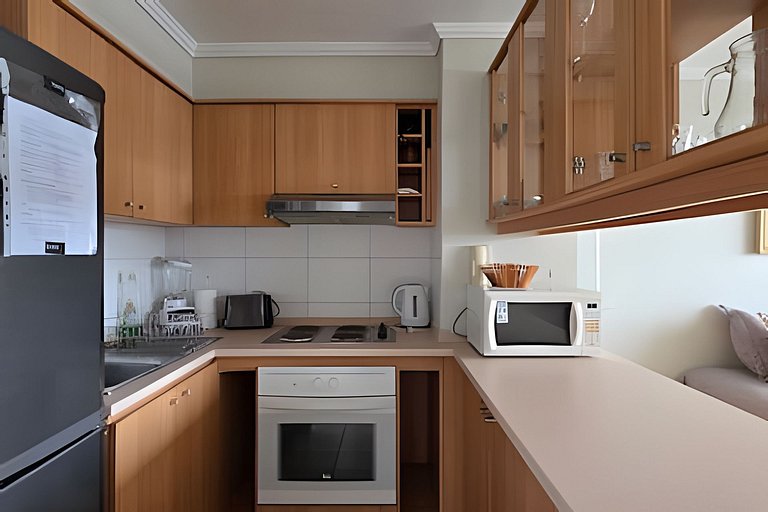 Euromarina apartment facing Reñaca Beach