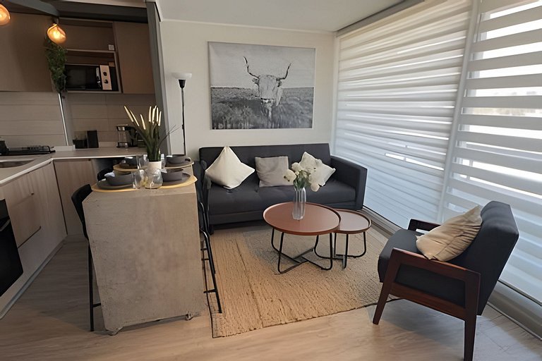 Oceana Suites: Ecos de Luz, Ñuñoa.