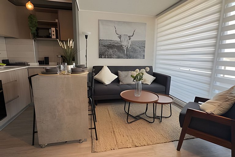 Oceana Suites: Ecos de Luz, Ñuñoa.