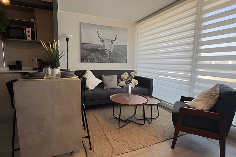 Oceana Suites: Ecos de Luz, Ñuñoa.