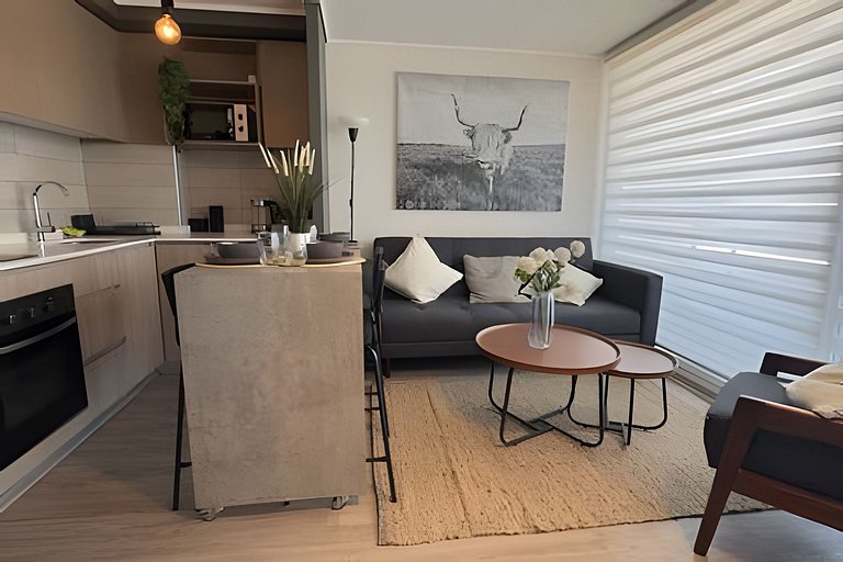 Oceana Suites: Ecos de Luz, Ñuñoa.