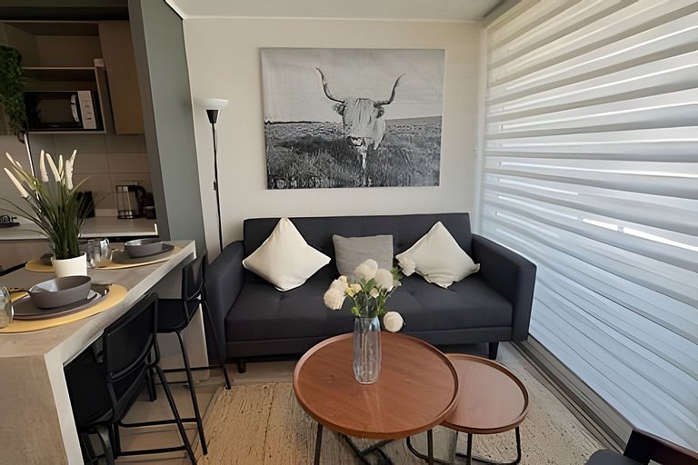 Oceana Suites: Ecos de Luz, Ñuñoa.