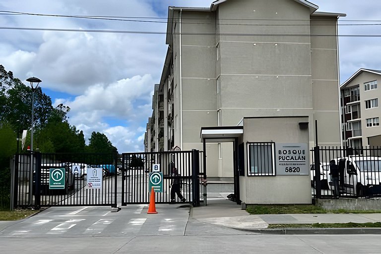 Oceana Suites: Bosque Pucalan, Puerto Montt.