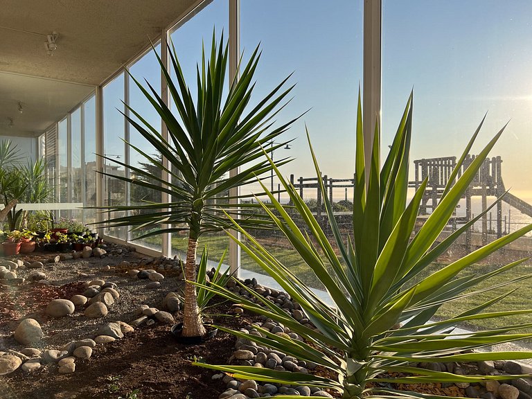 Departamento Exclusivo en Costa Montemar