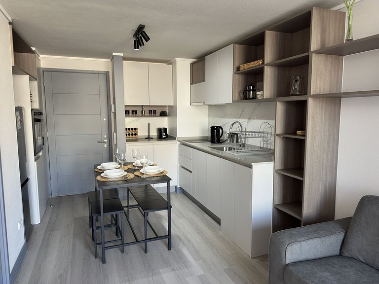 Wonderful apartment with an excellent location, Santiago.