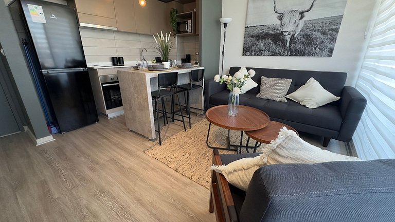 Incredible apartment minutes from Estadio Nacional.