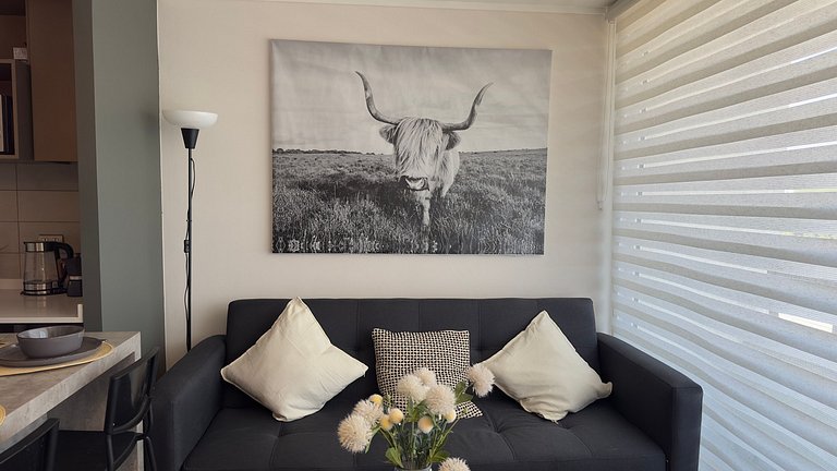 Incredible apartment minutes from Estadio Nacional.