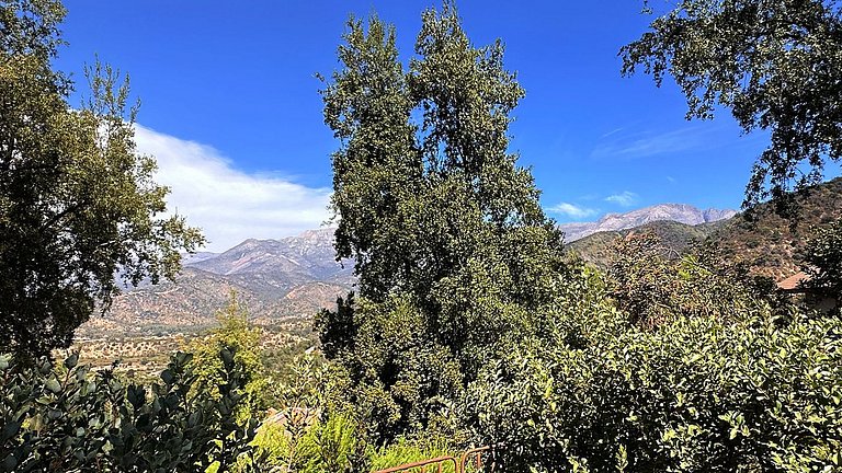 Oceana Suites: Bosques de Aculeo, Paine.