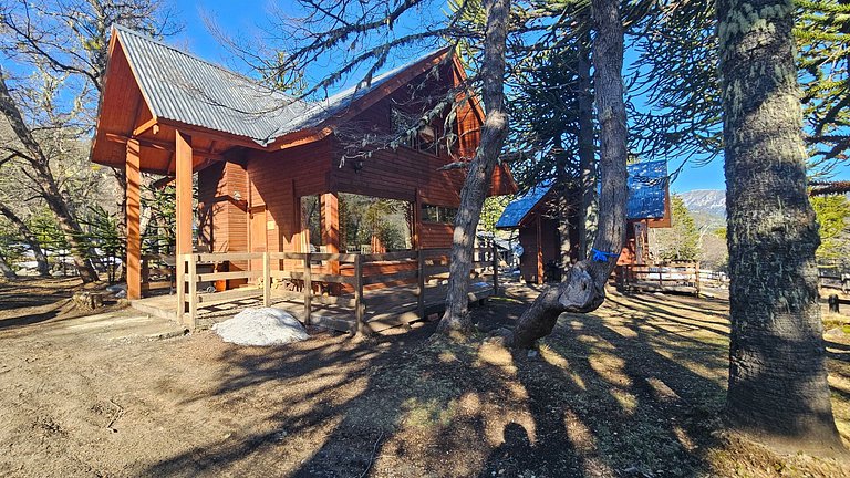 Oceana Suites: Sierra Nevada, Malalcahuello.