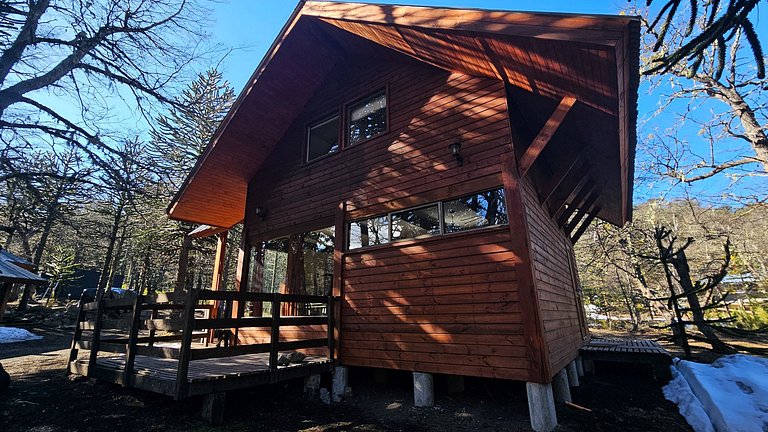 Incredible cabin minutes from Corralco SKI Center.
