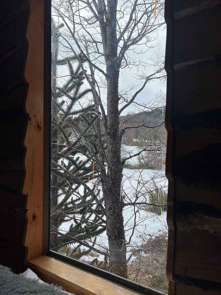 Habitación en "Volkano", Corralco.