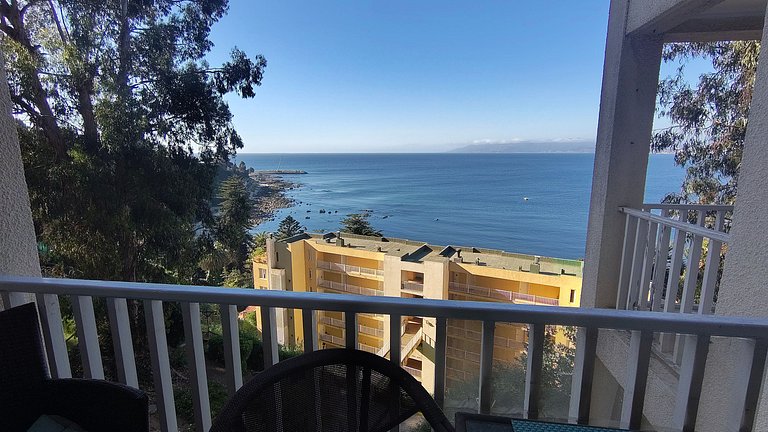 Apartment with ocean view, Horcón.