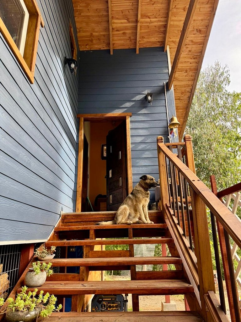 Casa cercada pela natureza em Panguipulli.