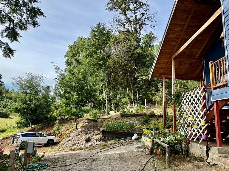 Casa cercada pela natureza em Panguipulli.