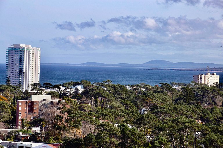 Apartment with incredible amenities, Punta.